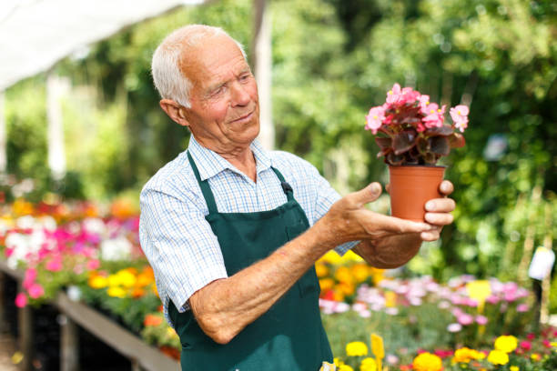istock Man tending flowers in glasshouse 1132720890