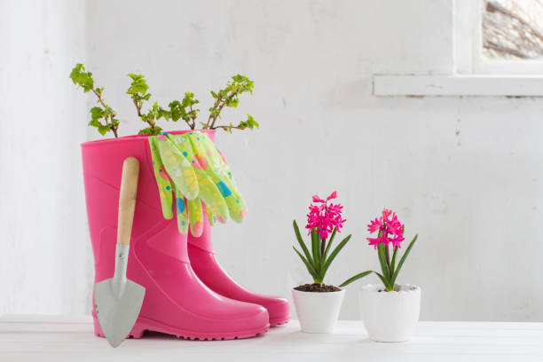 istock rubber boots and spring flowers on white background 1132721615