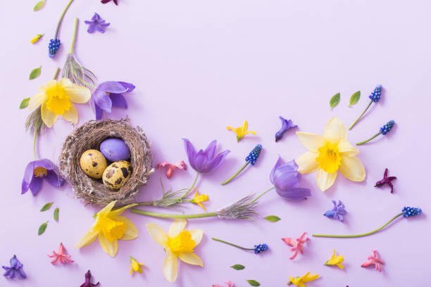 huevos de pascua en nido con flores de primavera - yellow easter daffodil religious celebration fotografías e imágenes de stock
