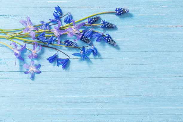 istock spring flowers on blue wooden background 1132721626