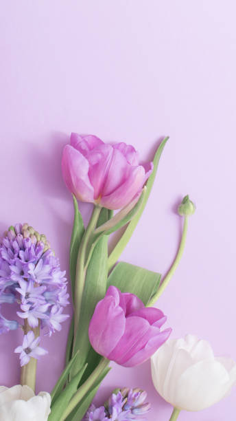 istock beautiful flowers on paper background 1132721659