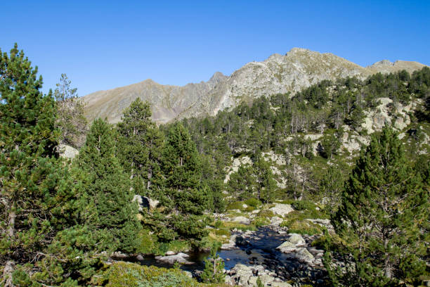 istock Mountain landscape in the pyrenes 1132725094