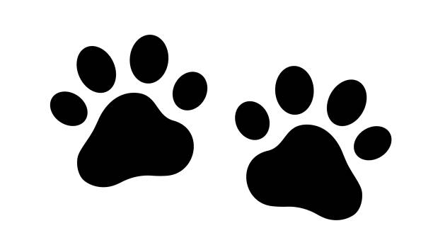 istock Paw logo or cat and dog animal pet 1132725309