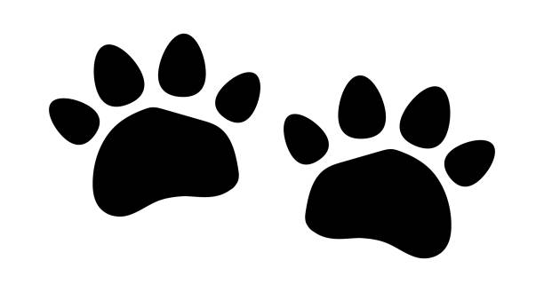 istock Paw logo or cat and dog animal pet 1132725319