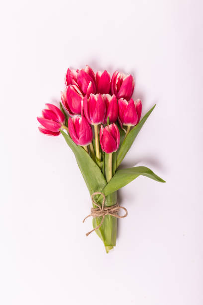 istock Pink tulips bouquet isolated on a white background 1132730726