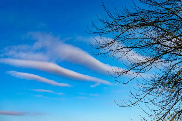Photo of Interesting horse or mares tail cloud formations