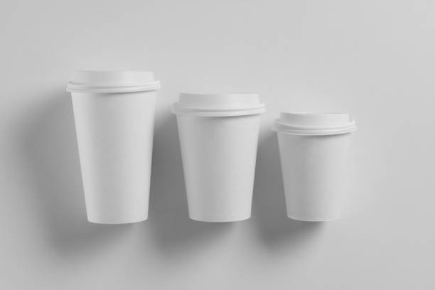 Paper white coffee cup with white lid isolated on white background