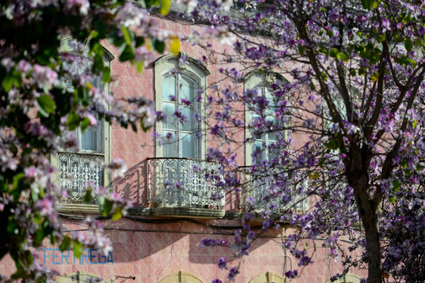 istock PORTUGAL ALGARVE SILVES OLD TOWN 1132736666