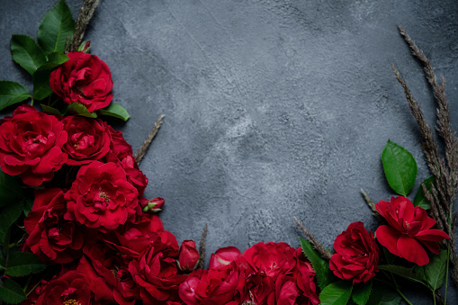 Frame of red roses (shrub rose) and feather grass on a concrete grey background with space for text.