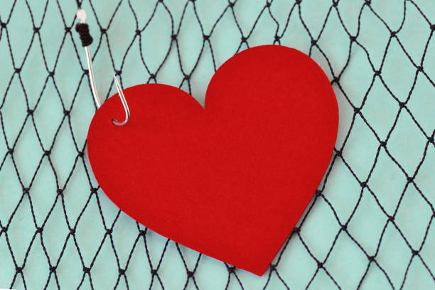 Heart on fish hook on fishing net - Love concept Heart on fish hook on fishing net - Love concept hunting decoy photos stock pictures, royalty-free photos & images