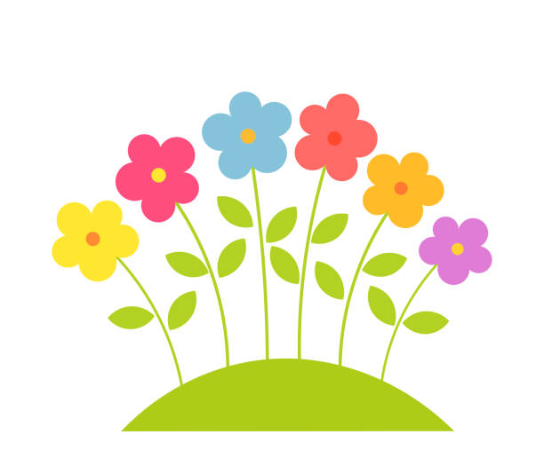カラフルな春の花。 - daisy multi colored flower bed flower点のイラスト素材／クリップアート素材／マンガ素材／アイコン素材