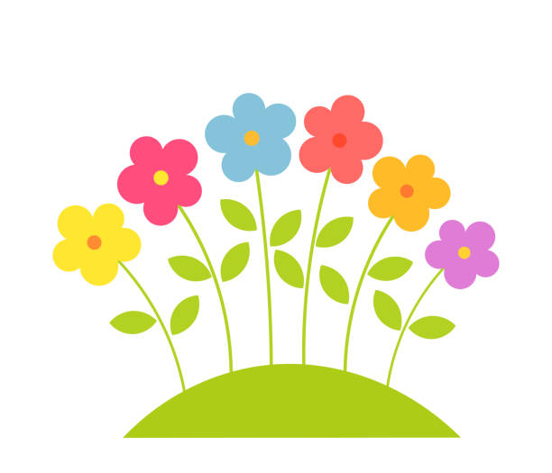 ilustrações de stock, clip art, desenhos animados e ícones de colorful spring flowers. - flower bed flower daisy multi colored