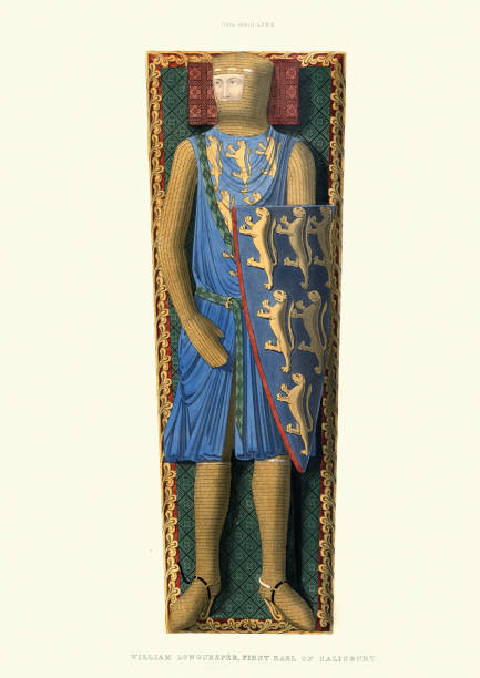 illustrations, cliparts, dessins animés et icônes de william longespee, comte de salisbury, noble anglo-normand et chevalier - tabard