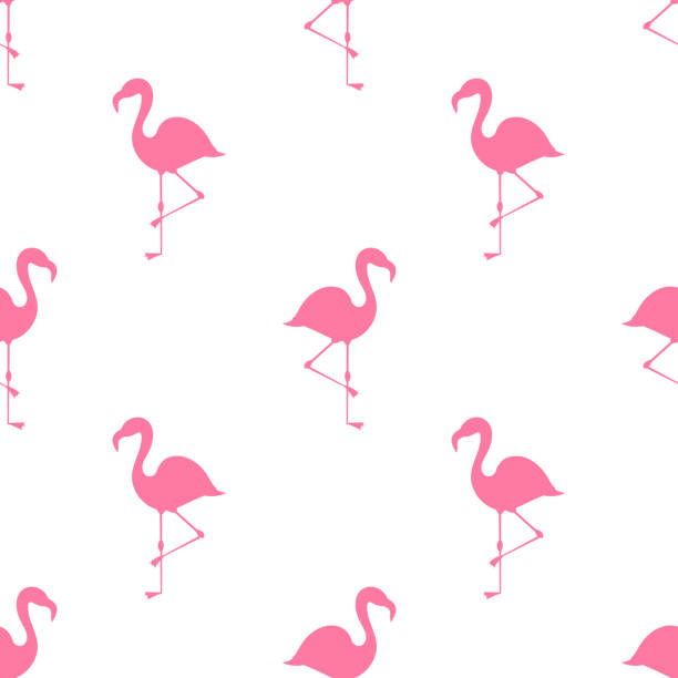 illustrations, cliparts, dessins animés et icônes de motif de flamants roses d'été. - flamingo bird isolated animal leg
