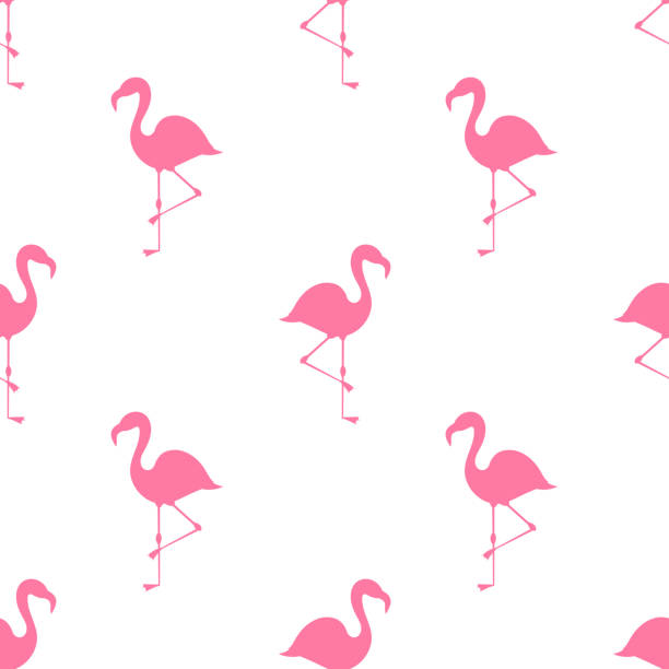 illustrazioni stock, clip art, cartoni animati e icone di tendenza di motivo estivo fenicotteri rosa. - animal leg