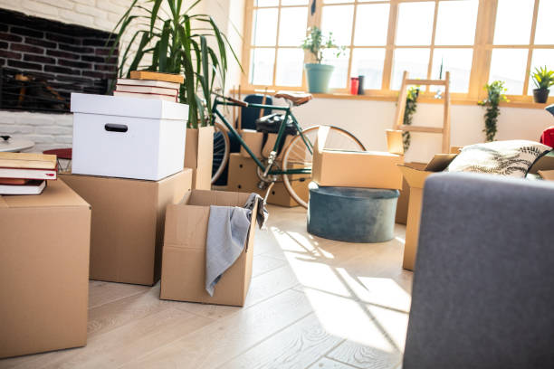 istock Everything is ready for moving out the house 1132750026