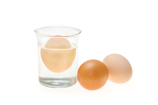Floating eggs in transparent glass bowl of water. Egg freshness test isolated on white