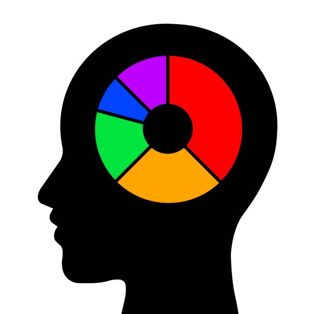Brain Graph Simple 40+ Simple Brain Diagram Clip Art Stock Illustrations, Royalty-Free ...