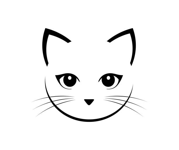 illustrations, cliparts, dessins animés et icônes de visage de chat mignon. - moustaches animales