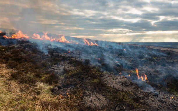 istock Fire on the moors during drought in winter, Yorkshire, UK. 1132753209