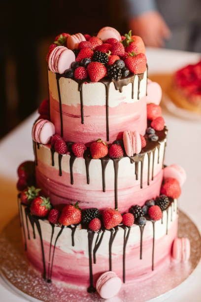 bolo de esponja com fruta e macaroons - focus on foreground selective focus vertical horizontal - fotografias e filmes do acervo