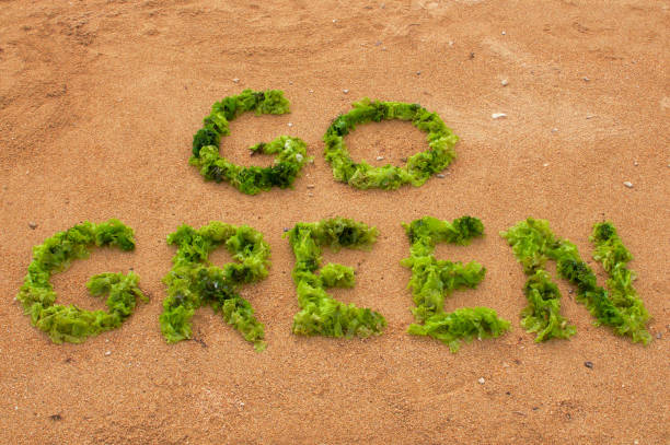 istock Go Green