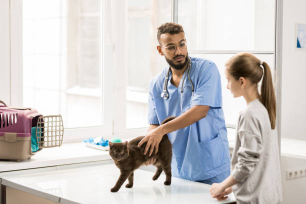 istock Consultation of veterinarian 1132760216