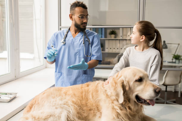 istock Consulting owner of dog 1132760256