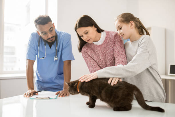 istock Taking pet to vet 1132760313