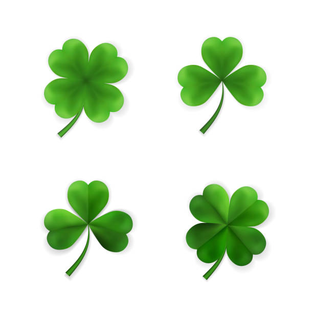 istock Green Four and Tree Leaf Clovers. Irish Lucky and success symbols. Vector illustration 1132763138