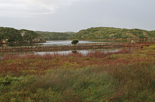 View over wetland to low hills\