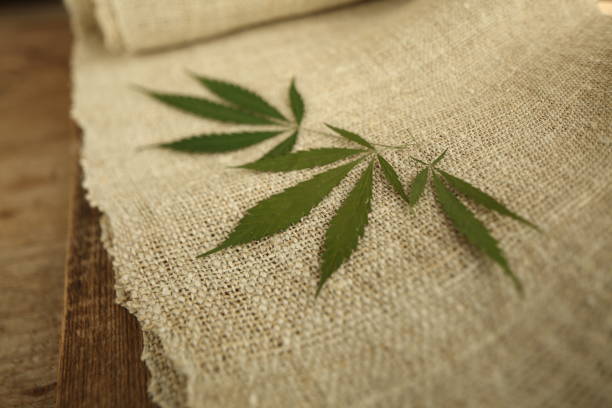 Fabric made from hemp . Cannabis fiber and leaf