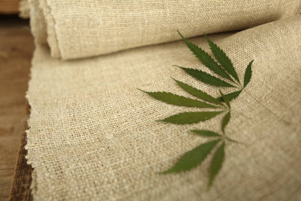 Fabric made from hemp . Cannabis fiber and leaf