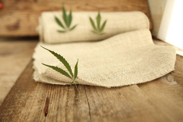 Fabric made from hemp . Cannabis fiber and leaf