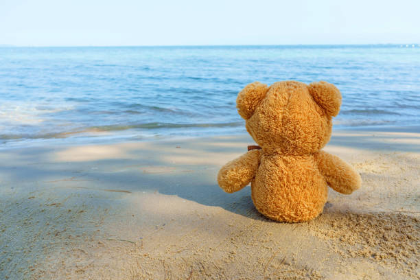 istock Lonely teddy bear baby toy looking on sea 1132766260