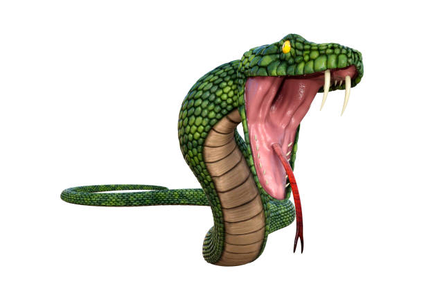 istock 3D illustration green giant fantasy snake on white 1132766706