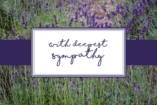 With deepest sympathy card with lavender scrub background, purple text and white boxes