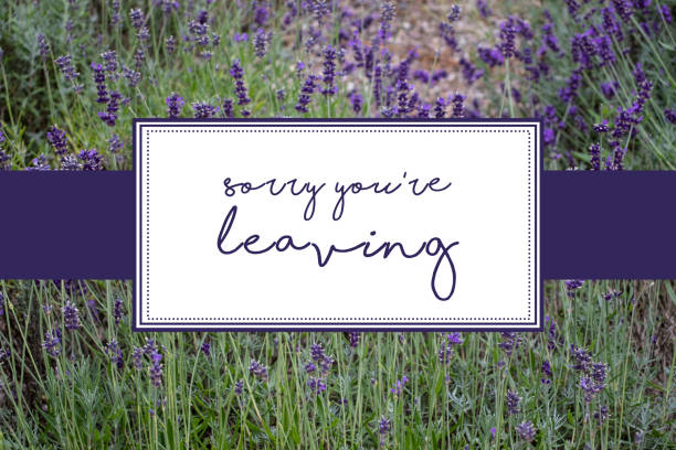istock Sorry you're leaving/goodbye card with lavender background 1132767591