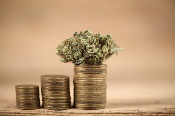 Business concept medical cannabis . marijuana stack of coins rising stock photo