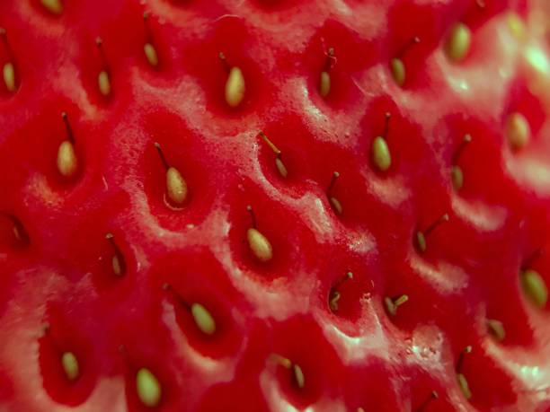 istock Skin of Surface 1132768469
