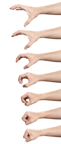 istock Set of holding/seizing hand gestures 1132768618
