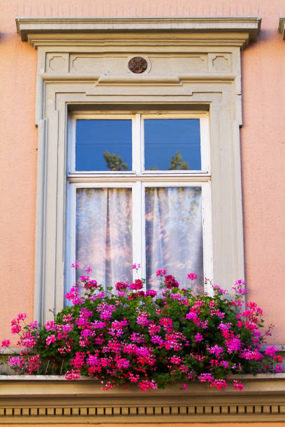 istock Window with purple flowers 1132769170