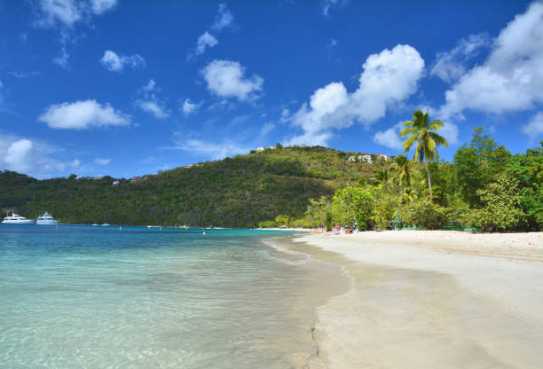 Magens Bay beach Magens Bay beach in Saint Thomas, US Virgin Islands st. thomas virgin islands photos stock pictures, royalty-free photos & images