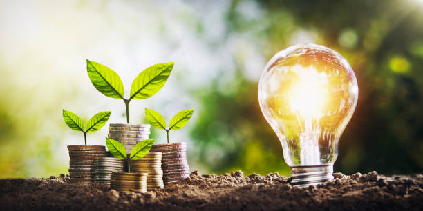 istock plant growing on coins and light bulb. concept saving money with energy 1132769968