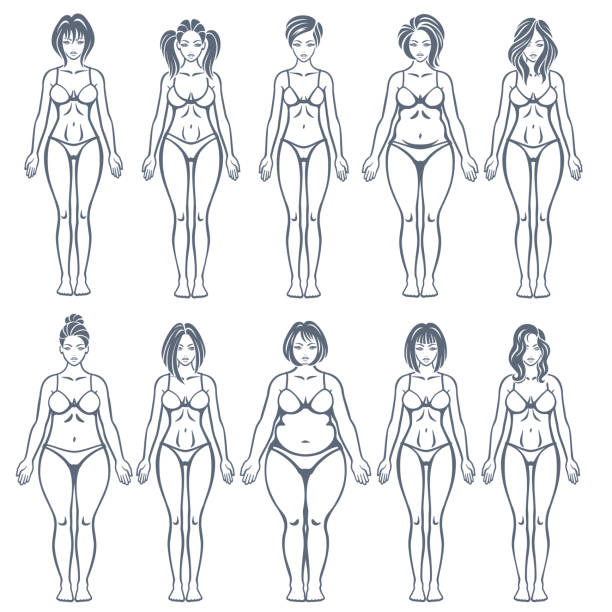 ilustrações, clipart, desenhos animados e ícones de tipos do corpo das mulheres - body shape
