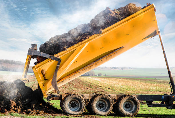 istock Preparation before rehanging the manure 1132771652