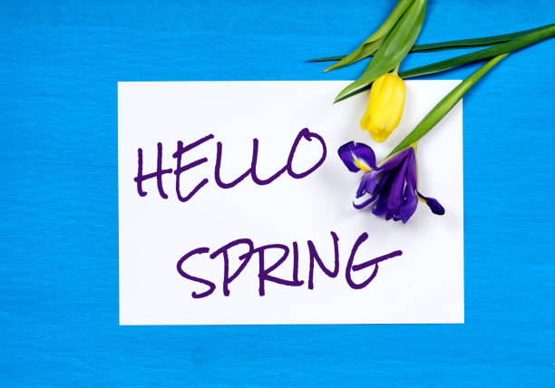 istock hello spring text and tulip and iris, blue paper background 1132773360