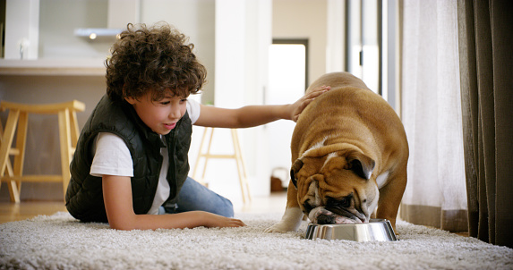 Full length shot of a young boy lying on the floor and playing with his dog at home