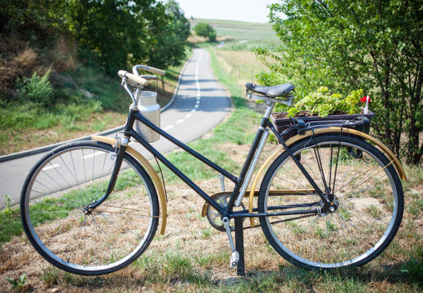 Forest view with bicycle, Pure nature from German countryside.