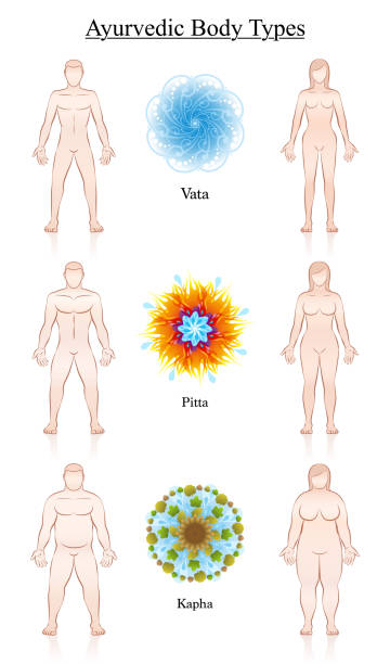 аюрведа типов конституции тела. аюрведические доши символы вата, питта, кафа с иллюстрацией пар. изолированная векторная иллюстрация на бе� - ayurveda stock illustrations